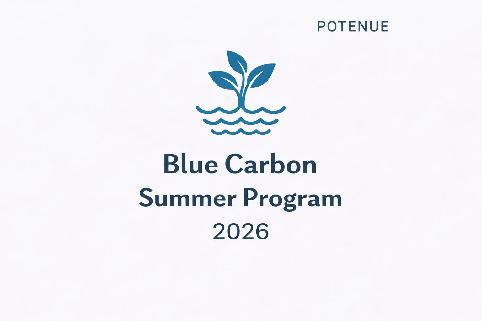 Blue Carbon Summer Program 2026
