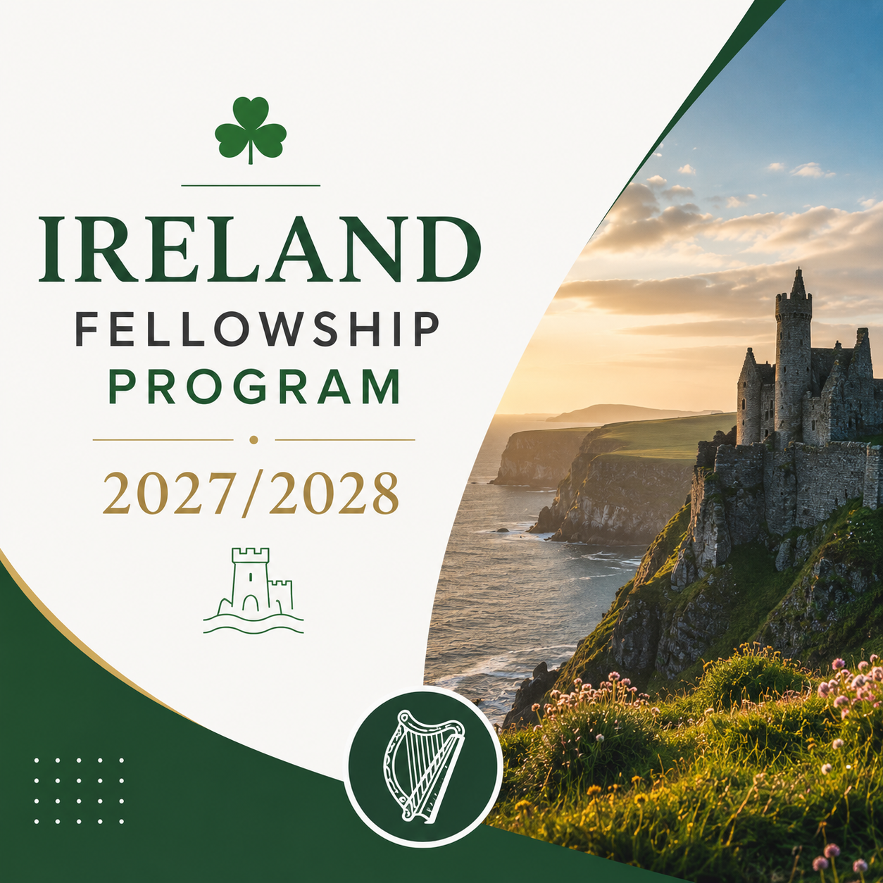 Ireland Fellowship Program
